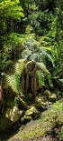 Plants: image 60 Of 208 Thumb